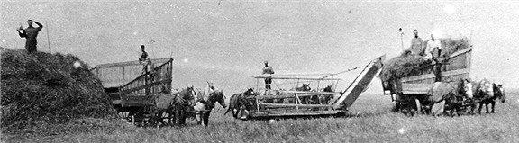 1915-1916: Erick's Grandfather, Jessie Frank Conard, harvesting wheat.