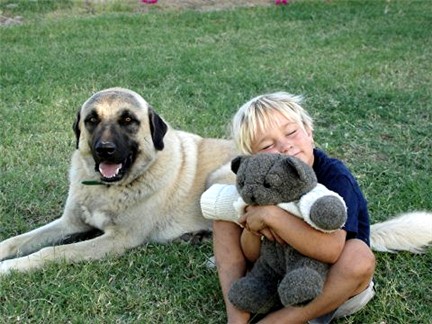 Niki's son, Harry, and Max