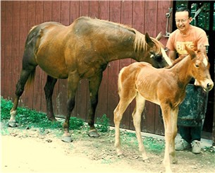 Brandy (27 years) in 1997 with her filly, Ziba Ye Vashshi