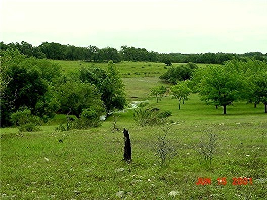 [Looking West at Lucky Hit Ranch, Leander, Texas - June 15, 2001]