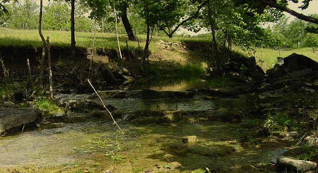 Lucky Hit Ranch has many beautiful locations along the creek