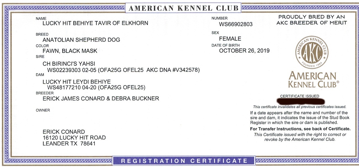 LUCKY HIT Behiye TAVIR of Elkhorn  Female 03 AKC Registration Certificate