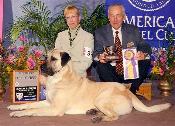 April 15, 2007 - BEST OF BREED - BOUDREAU at Harrisberg Regional Speciality