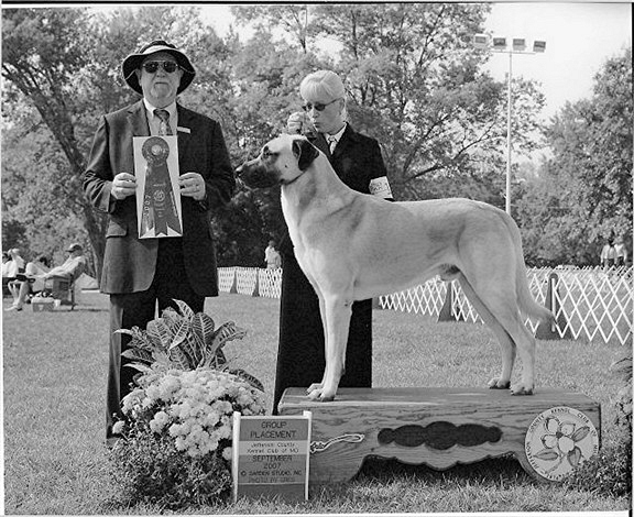 September, 2007 - BEST OF BREED and GROUP PLACEMENT - BOUDREAU 