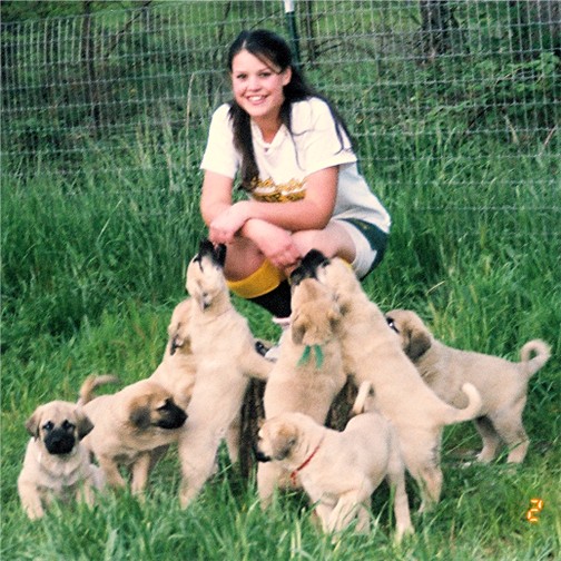 Erin with Fiona's 2005 litter at seven weeks