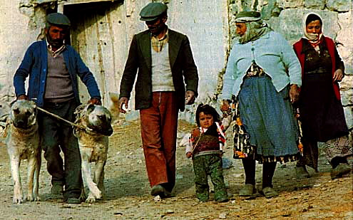 Anatolians in Turkey